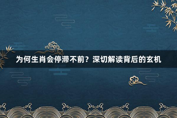 为何生肖会停滞不前？深切解读背后的玄机